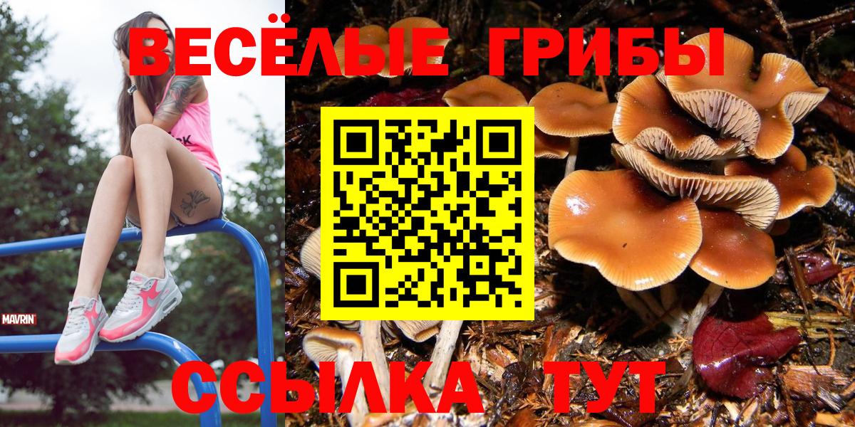 Псилоцибиновые грибы мицелий Канаш