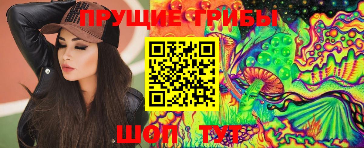 Канаш  Псилоцибиновые грибы мицелий  Вход с VPN 