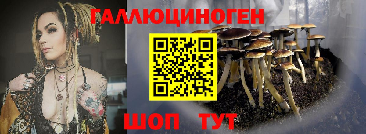 ГАШ  Марихуана  COCAIN  Канаш  МЕФ   Вход с VPN  МДМА 
